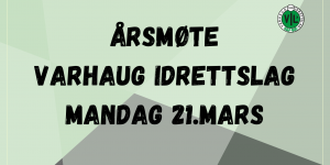 Copy of Årsmøteplakat 2020 (A4 Document) (Facebook Cover) (1)